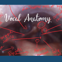 New YT Series: Inside the Voice Box